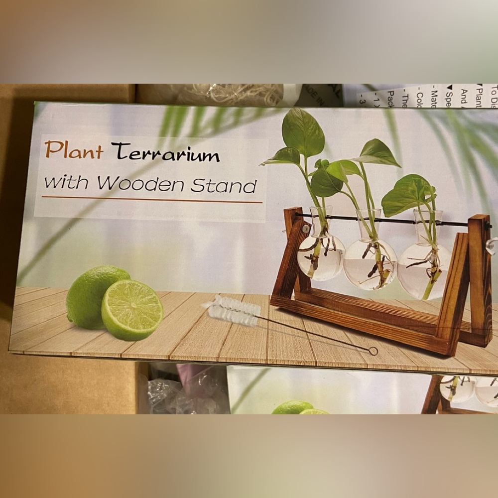 Terrarium with Wooden Stand